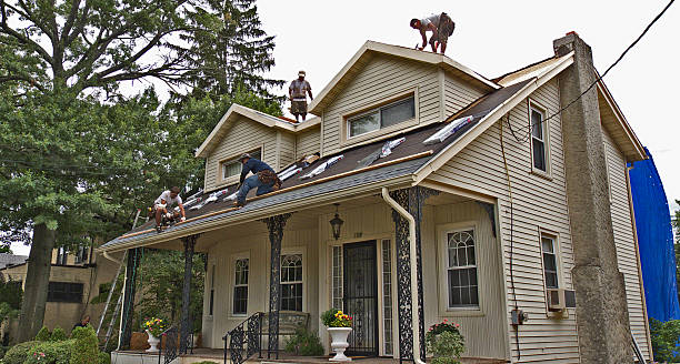 Best Roof Gutter Cleaning  in Windham, OH